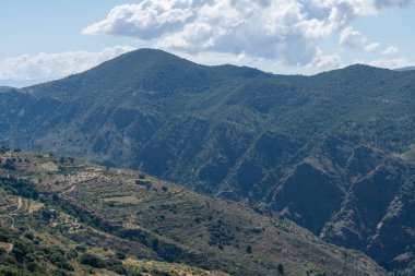İspanya 'nın güneyindeki bir nehirde bol bitki örtüsü, nehir suyu taşıyor, nehir yatağında taşlar var, gökyüzü açık, ağaçlar var.