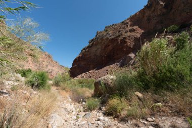 İspanya 'nın güneyindeki bir nehirde bol bitki örtüsü, nehir suyu taşıyor, nehir yatağında taşlar var, gökyüzü açık, ağaçlar var.