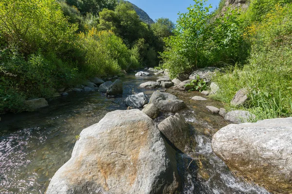 スペインの南の川で豊富な植生は 川は水を運ぶが 川のベッドの石は 空は明らかですが 木がある — ストック写真