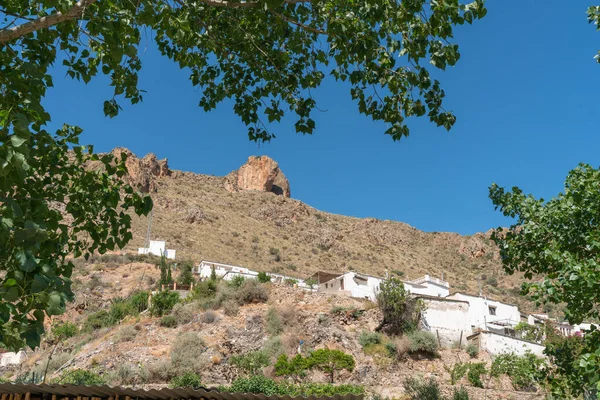 Bőséges Növényzet Egy Folyóban Dél Spanyolországban Folyó Vizet Szállít Kövek — Stock Fotó