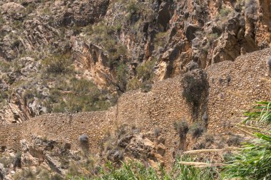 Eski bir su kanalının taş duvarı, bir kaya uçurumu, çalılar ve sazlıklar var.