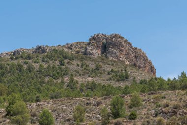 Güney İspanya 'da ağaçlar ve çalılar ile kayalık dağ, gökyüzü açık.