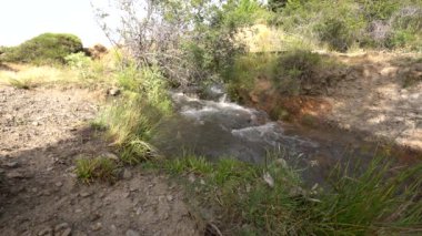 Kristal berrak su dağdan aşağı akıyor, genel bitki örtüsü var, taşlar var.