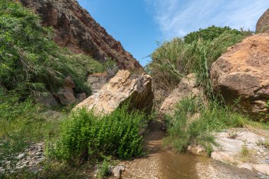 İspanya 'nın güneyindeki dağlık bir bölgeyi geçen nehir, nehirde büyük kayalar, nehrin kıyısında kamış tarlaları, gökyüzünde çok az bulut var.