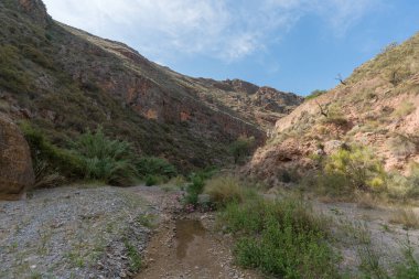 İspanya 'nın güneyindeki dağlık arazide bir nehir var. Kenarlarında sazlıklar ve çalılar var. Dağlarda bitki örtüsü, gökyüzünde çok az bulut var.