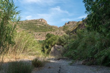 İspanya 'nın güneyinde bir nehri olan dağlık bir arazi, bitkilerle kaplı dağlar, yerde çimenler ve taşlar, kamış tarlaları ve kavak ağaçları var, gökyüzünde çok az bulut var.