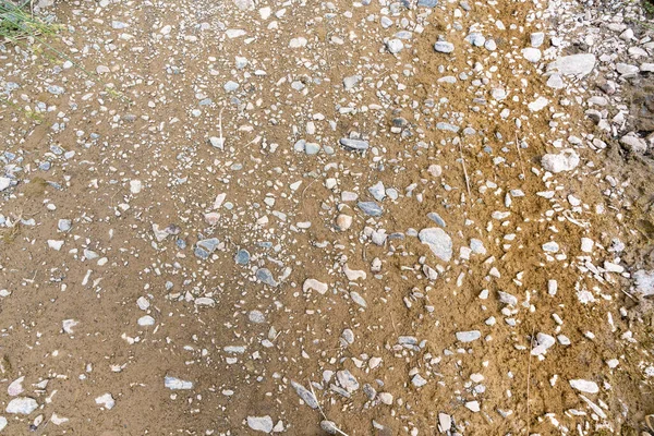 bed of a river wet with stones, the mud is brown and there are stones of different sizes