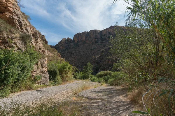 Mountainous Landscape River Southern Spain Mountains Vegetation Ground Grass Stones — Stock Photo, Image