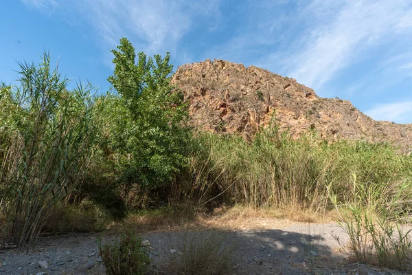 Mountainous Landscape River South Spain Mountains Vegetation Ground Grass Stones Royalty Free Stock Photos