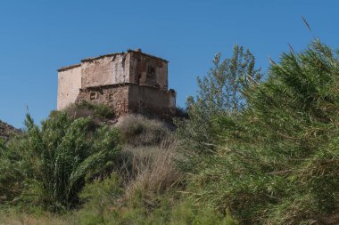 Terk edilmiş ve harap olmuş bir çiftlik evinin yanında bir sürü bitki var, kamış tarlaları ve çalılar var, gökyüzü açık.
