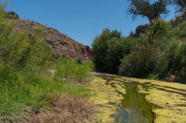 İspanya 'nın güneyindeki bir nehirden akan su, nehrin kıyısında bitki örtüsü var, gökyüzü açık.