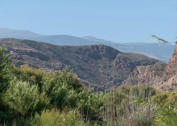 Güney İspanya 'nın dağlık arazisi, kavak ağaçları, yamaçlarda çalılar var ve gökyüzü açık.