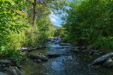 Bitkilerle çevrili kristal berrak nehir, nehir yatağında taşlar var, gökyüzünde bulutlar var.