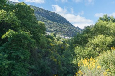 İspanya 'nın güneyindeki dağlık arazi, bol ağaçlı bitki örtüsü, bir kasaba, dağ ağaçlarla kaplı, gökyüzü bulutlu