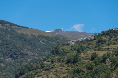 Dağdaki ağaçların ve çalıların farklı türleri vardır. Dağ yamacında bir kasaba vardır. Gökyüzünde bulutlar vardır.