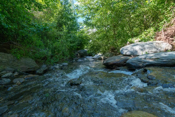 Kristallin Flod Omgiven Vegetation Det Finns Buskar Och Träd Flodbädden — Stockfoto