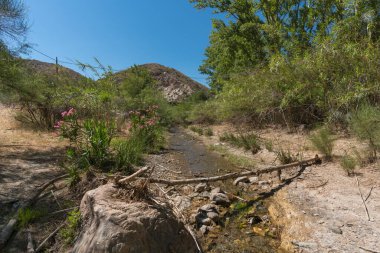 Kristal su nehri bitki örtüsüyle çevrili, dağlar var, nehir yatağında taşlar var, gökyüzü berrak.