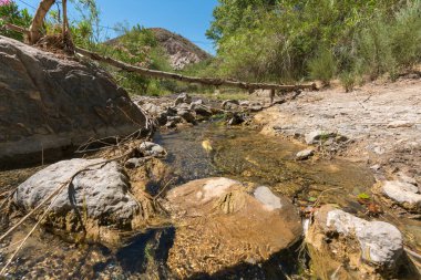 Kristal su nehri bitki örtüsüyle çevrili, dağlar var, nehir yatağında taşlar var, gökyüzü berrak.