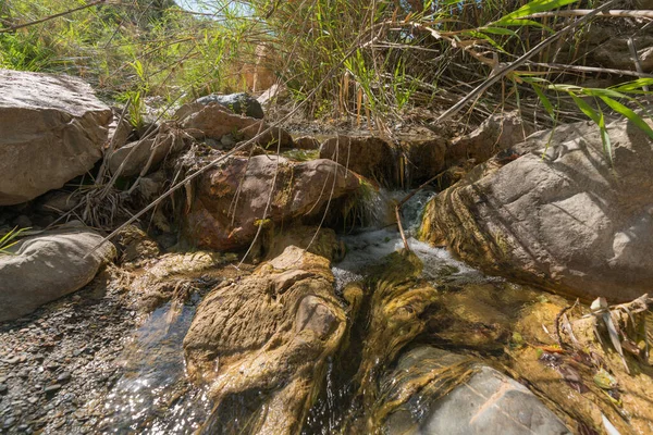 植生に囲まれた結晶水の川は 川のベッドにある石です — ストック写真