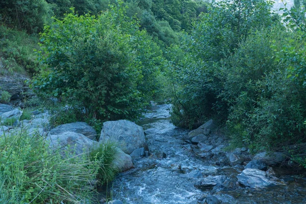 Kristallklarer Fluss Umgeben Von Vegetation Gibt Büsche Bäume Steine Flussbett — Stockfoto