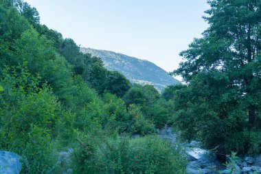 Güney İspanya 'da bitki örtüsüyle kaplı dağlar, ağaçlar ve çalılar var, gökyüzü açık.