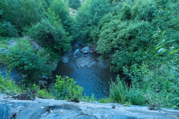 Krystalicznie Czysta Rzeka Otoczona Roślinnością Krzewy Drzewa Kamienie Korycie Rzeki — Zdjęcie stockowe