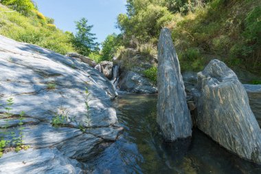Sierra Nevada 'da bir dağ nehrindeki büyük kayalar, çalılar, çimenler ve ağaçlar var, gökyüzü açık.