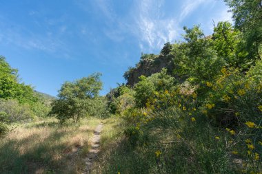 İspanya 'nın güneyinde bitki örtüsüyle kaplı dağ manzarası, ağaçlar, çalılar ve taşlar var, gökyüzünde çok az bulut var.