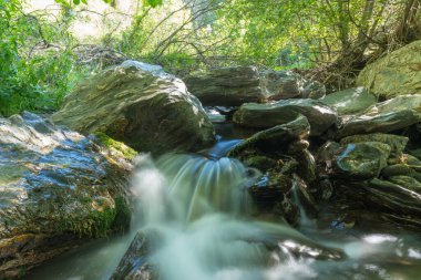 Bitkilerle çevrili kristal berrak nehir, çalılar, ağaçlar, nehir yatağında taşlar var.