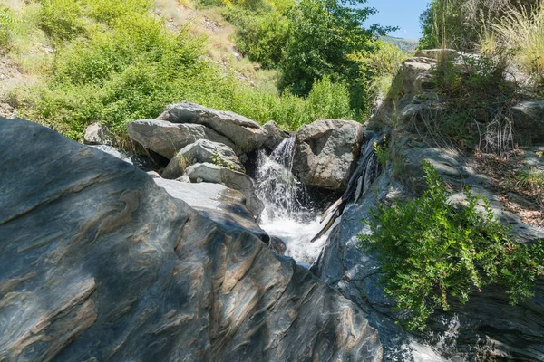 高い山の川を流れるが 大きな岩ですが 植生は 水はクリスタルクリアされます — ストック写真