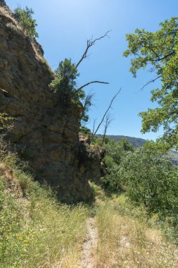İspanya 'nın güneyindeki dağ yolunda, ağaçlı bir uçurum var, çimenler ve çalılar var, gökyüzü açık.