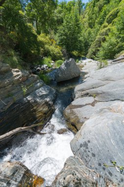 Yüksek bir dağ nehrinden akan su, büyük kayalar, bitki örtüsü, su kristal berraklığında.