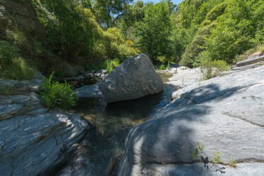 Bitkilerle çevrili kristal nehir, nehir yatağında taşlar var, ağaçlar ve çalılarla kaplı dağlık bir alan, gökyüzü açık.