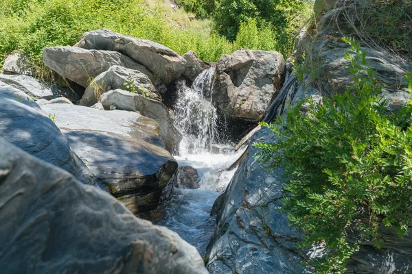 Water Flows High Mountain River Large Rocks Vegetation Water Crystal — Stock Photo, Image