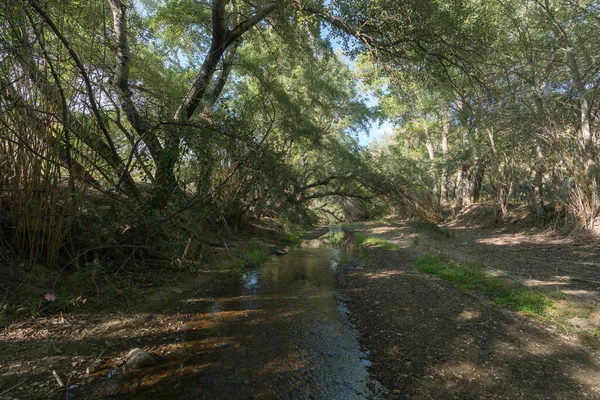 Aguas Cristalinas Que Fluyen Río Abajo Sur España Sobre Lecho —  Fotos de Stock