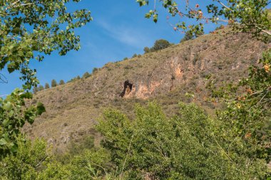 Bitki örtüsü ve mağarası olan bir dağ, kavak ve çam ağaçları var, gökyüzü açık.