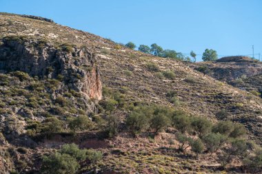 Çalı ve ağaçlarla kaplı bir dağın yamacında zeytin ağaçları, bir kaya oluşumu vardır.