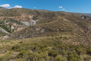 Dağlık arazi bitkilerle kaplı, ağaçlar var ve gökyüzü çok az bulutla berrak.