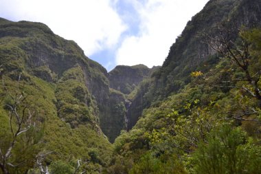 Madeira adasında dağın güzel görünümü, Portekiz