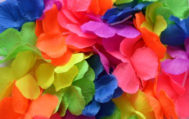 LGBT hareket bayrağının renklerinin arkaplanı