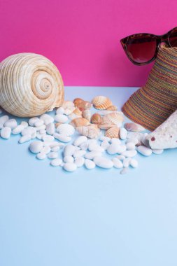 Büyük bir çipura ve açık mavi ve Fuşya arka planı üzerinde birkaç daha küçük kabukları üzerinde bir kadın güneş gözlükleri. Yaz ruhu yakalamak minimalist güzel görüntü. Acanthocardia tuberculata ve diğer deniz kabuklarını. Yatay görünüm. Yaz renkleri