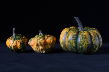 İçin siyah arka plan üzerinde halloween pumpkins ile sanatsal kompozisyon