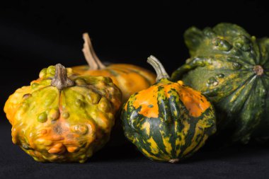 İçin siyah arka plan üzerinde halloween pumpkins ile sanatsal kompozisyon