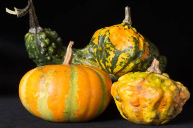 İçin siyah arka plan üzerinde halloween pumpkins ile sanatsal kompozisyon