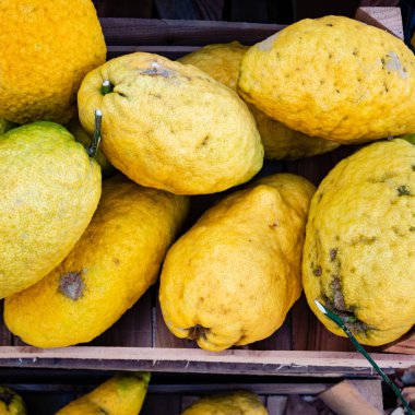 Organik tarım gelen dev cedars güzel arka plan. Flatlay görünüm