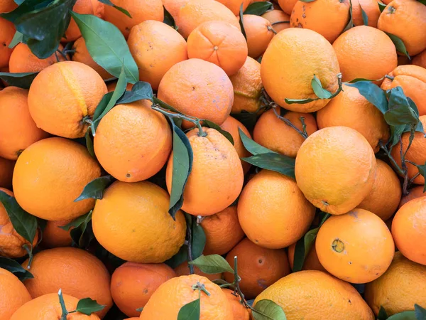 Güzel arka plan portakal, organik tarımı geliyor. Flatlay görünüm