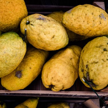 Organik tarım gelen dev cedars güzel arka plan. Flatlay görünüm