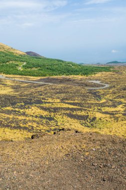 Nerede yol merkezi krater akar Etna Vadisi'nin panoramik görünümü. Dikey görünüm.