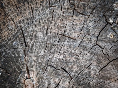 Ahşap arkaplan. Grounge tarzı kullanışlı bir arka plan. Yatay görünüm