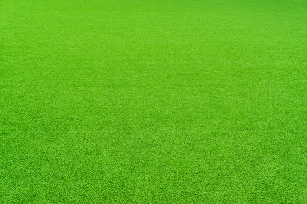 Perspektive Blick Grünes Gras Hintergrund — Stockfoto